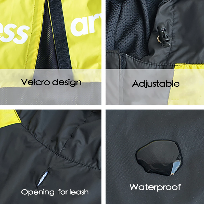 Dog Windproof Letter Hoodie - Paw Toebeans