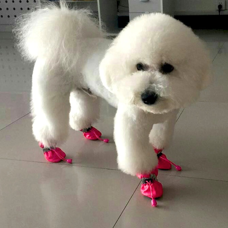 Anti-Slip Pet Shoes - Paw Toebeans