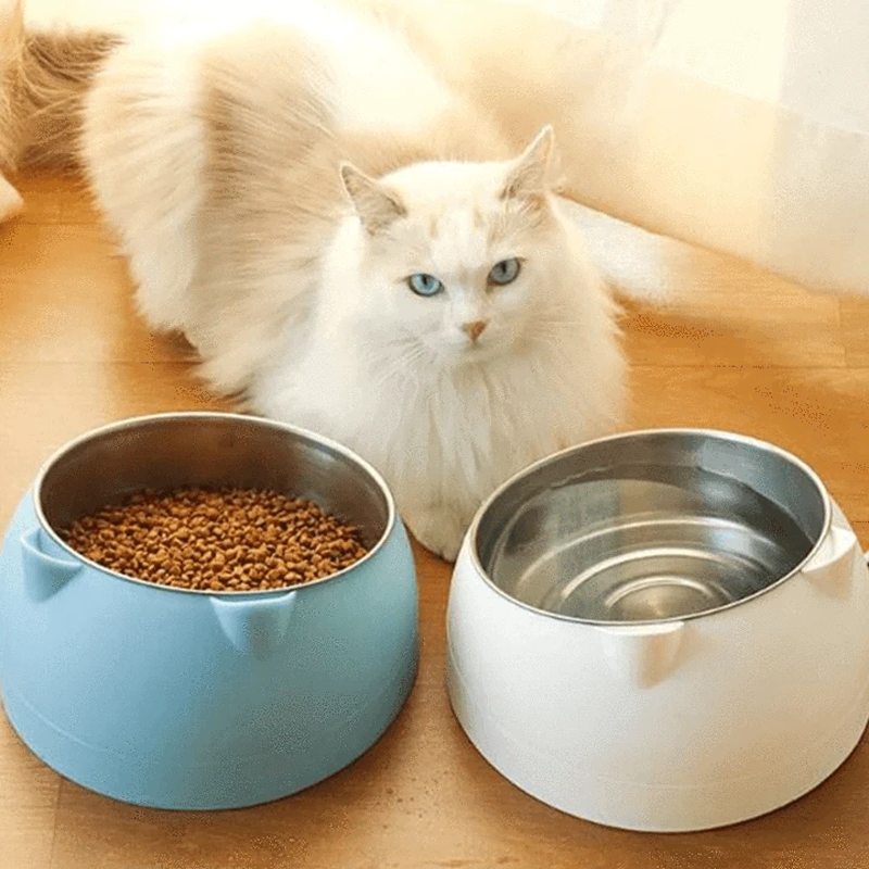 Raised Stainless Steel Cat & Dog Bowl - Paw Toebeans