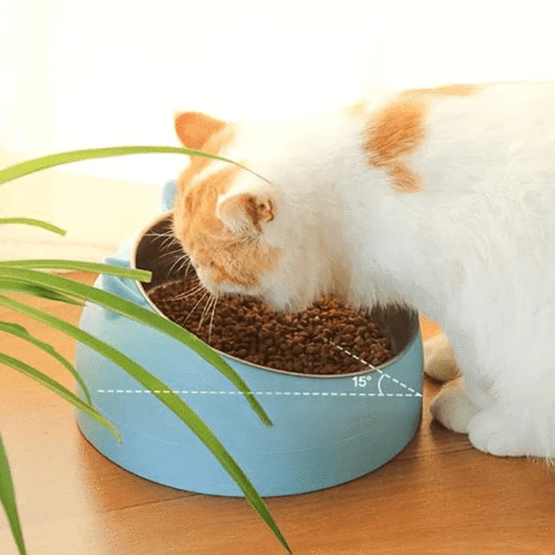Raised Stainless Steel Cat & Dog Bowl - Paw Toebeans