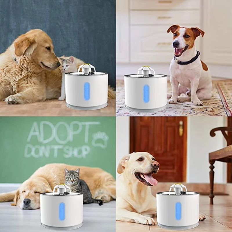 Pet Automatic Water Dispenser - Paw Toebeans