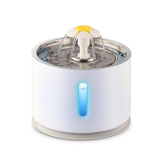 Pet Automatic Water Dispenser - Paw Toebeans
