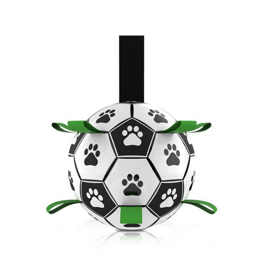 Interactive Pet Football Toy - Paw Toebeans