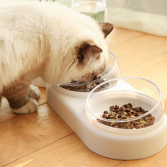Automatic Double Feeder Bowl For Dog & Cat - Paw Toebeans