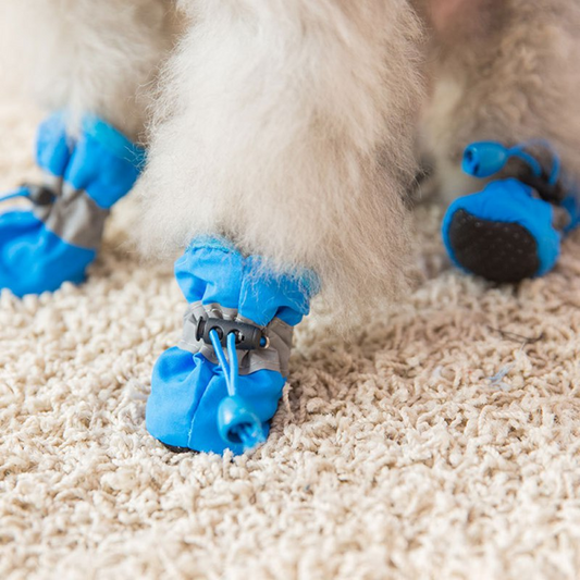 Anti-Slip Pet Shoes - Paw Toebeans