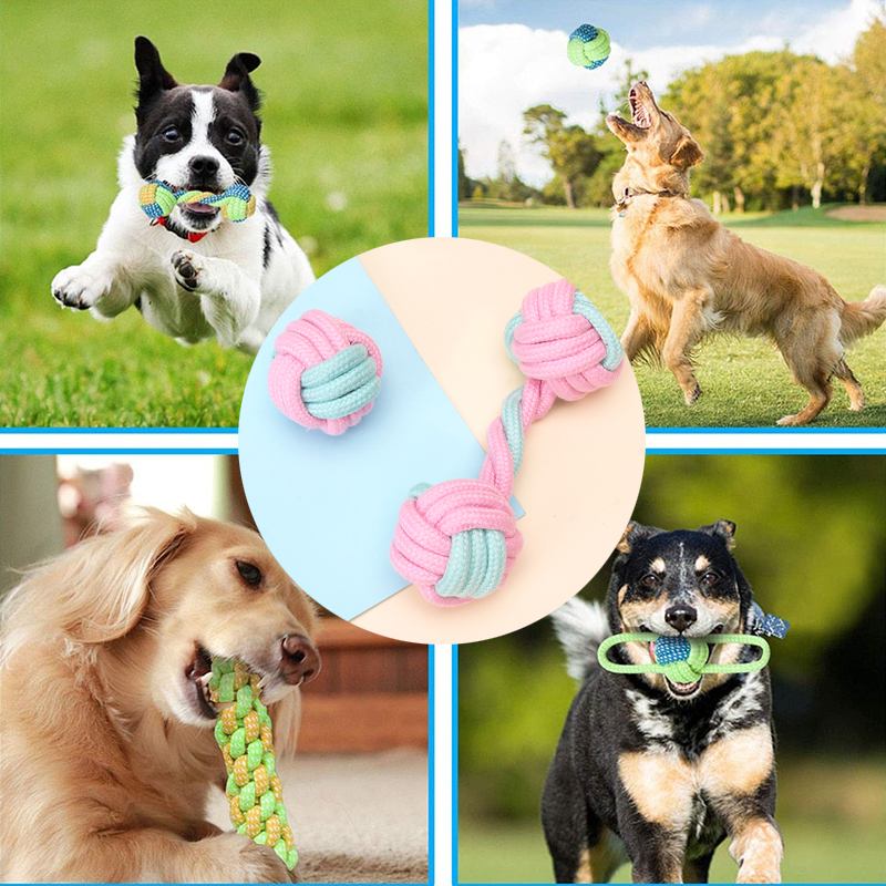 Mini Dog Interactive Cotton Rope - Paw Toebeans