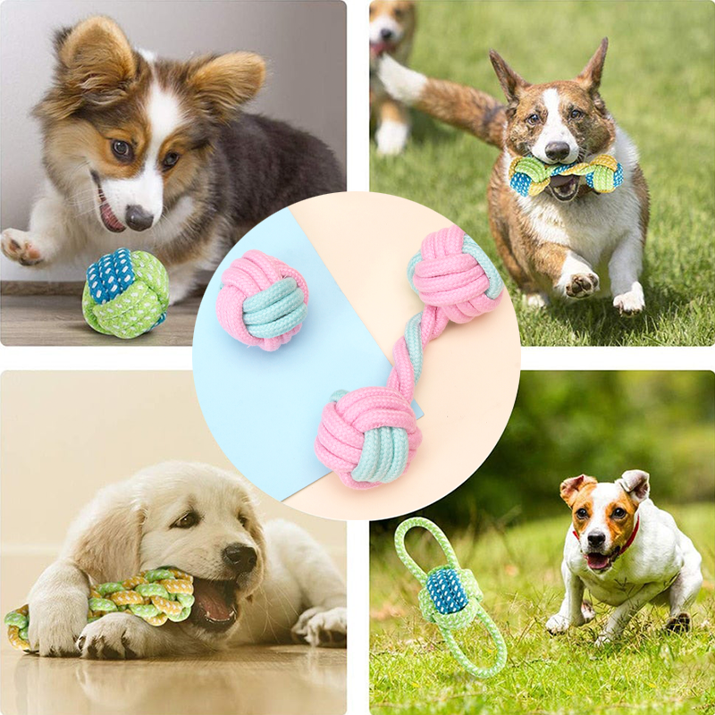 Mini Dog Interactive Cotton Rope - Paw Toebeans