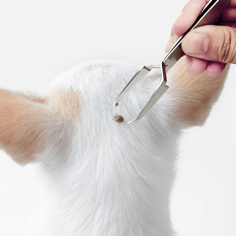 Pet Flea Remover Tool - Paw Toebeans