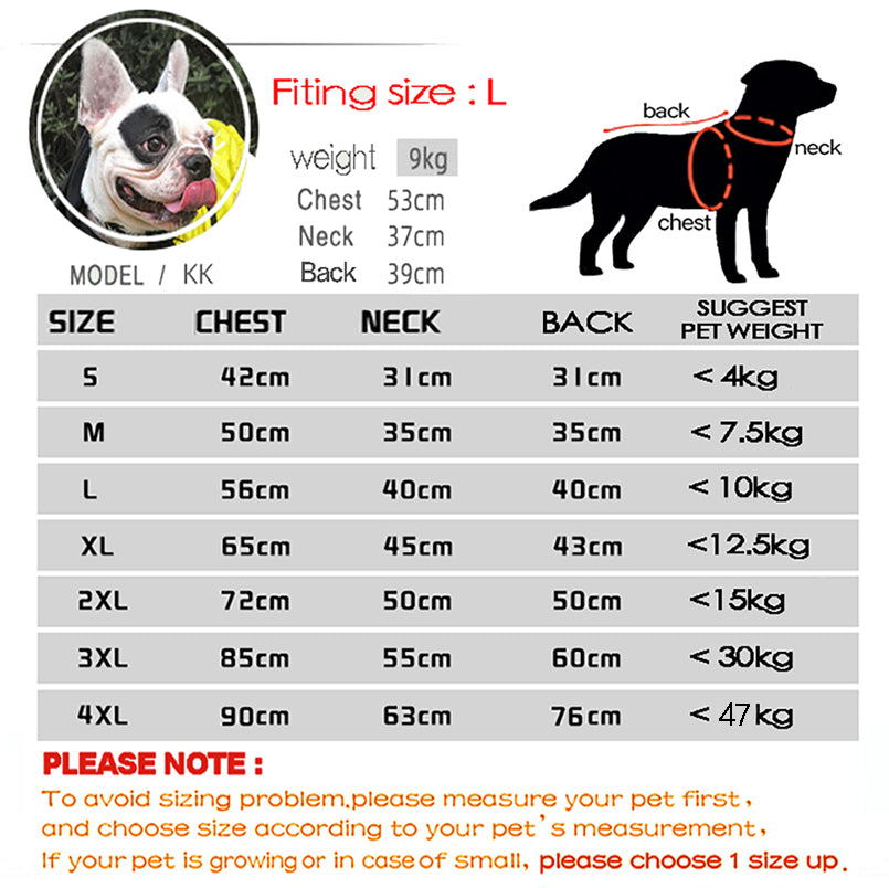Dog Windproof Letter Hoodie - Paw Toebeans
