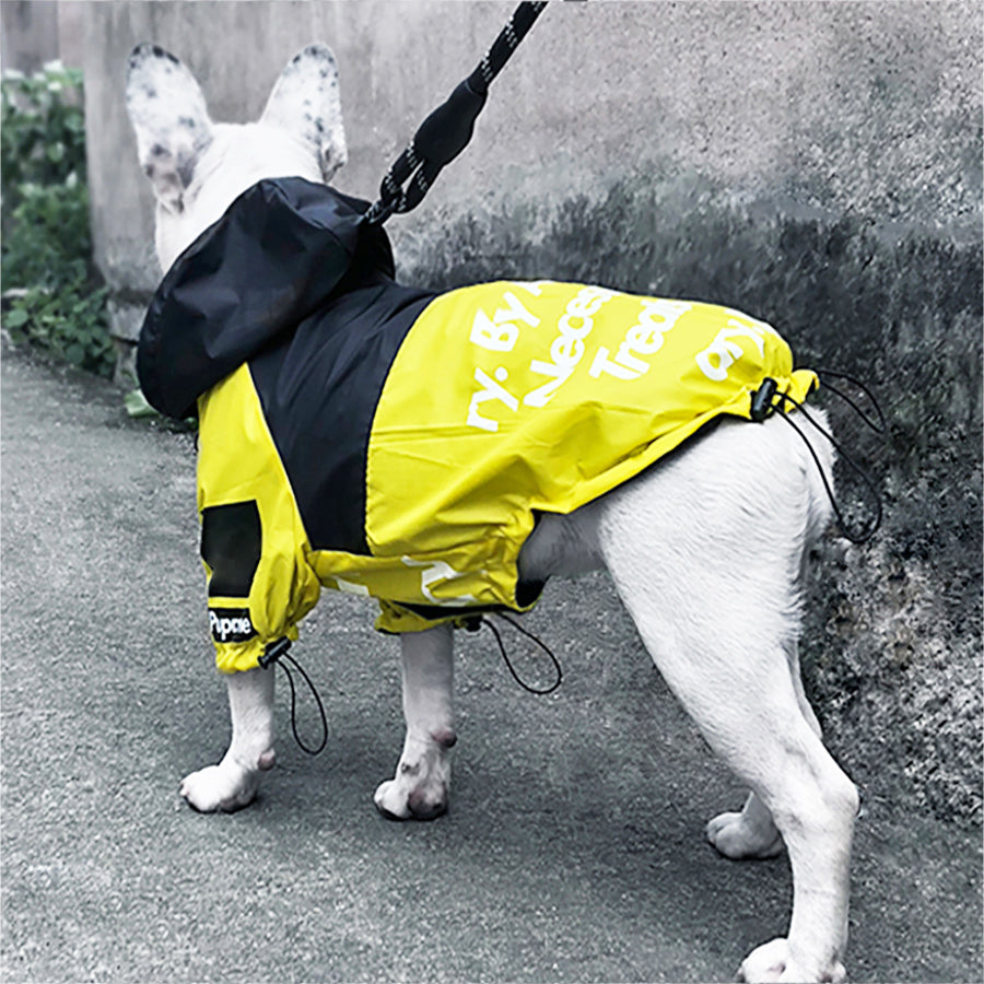 Dog Windproof Letter Hoodie - Paw Toebeans