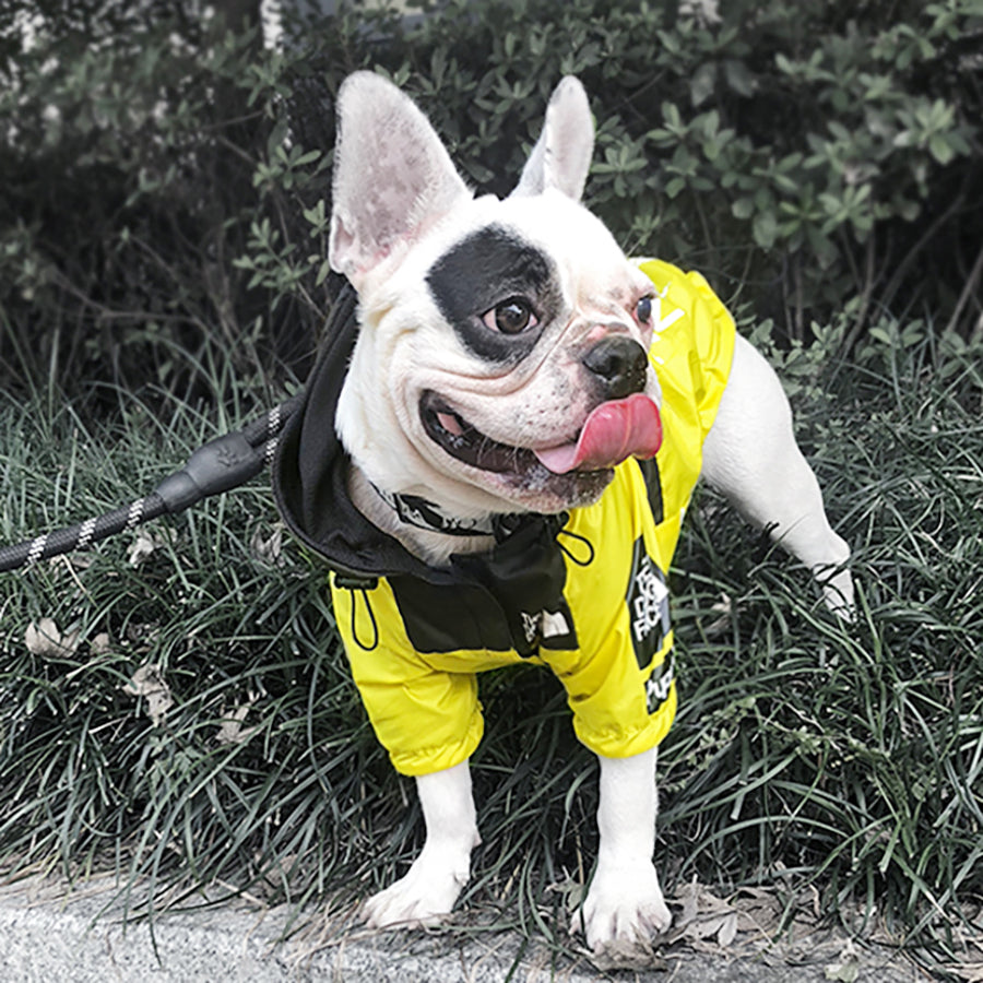 Dog Windproof Letter Hoodie - Paw Toebeans