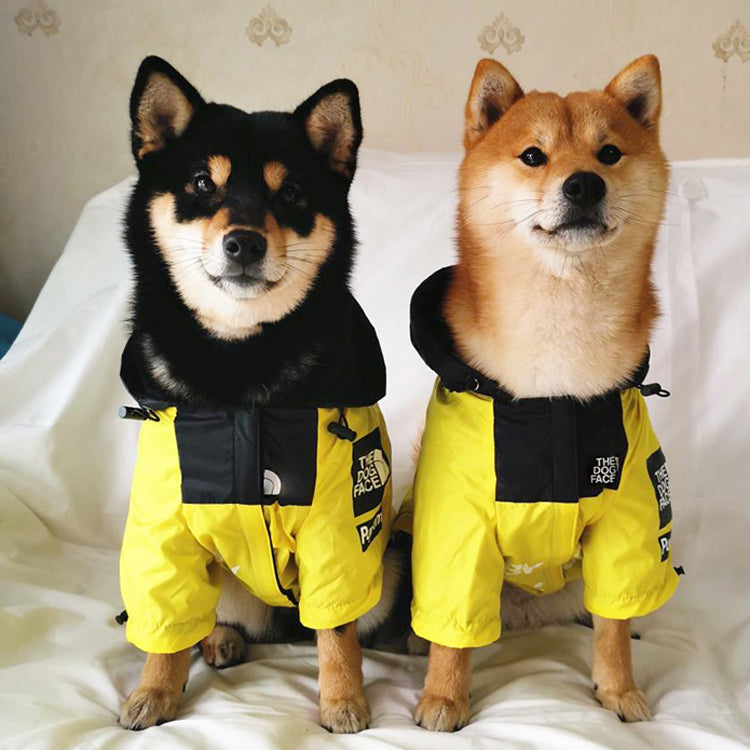 Dog Windproof Letter Hoodie - Paw Toebeans