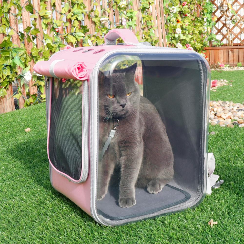 Breathable Outdoor Pet Backpack - Paw Toebeans