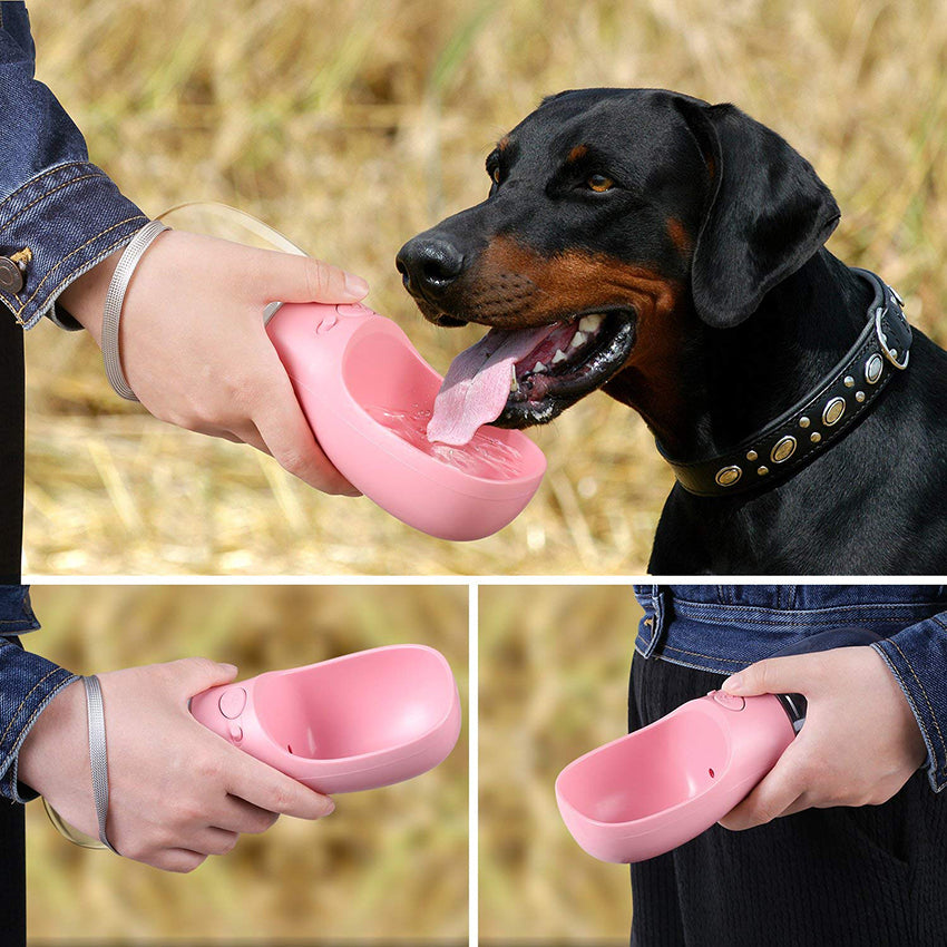 Outdoor Portable Pet Water Bottle - Paw Toebeans