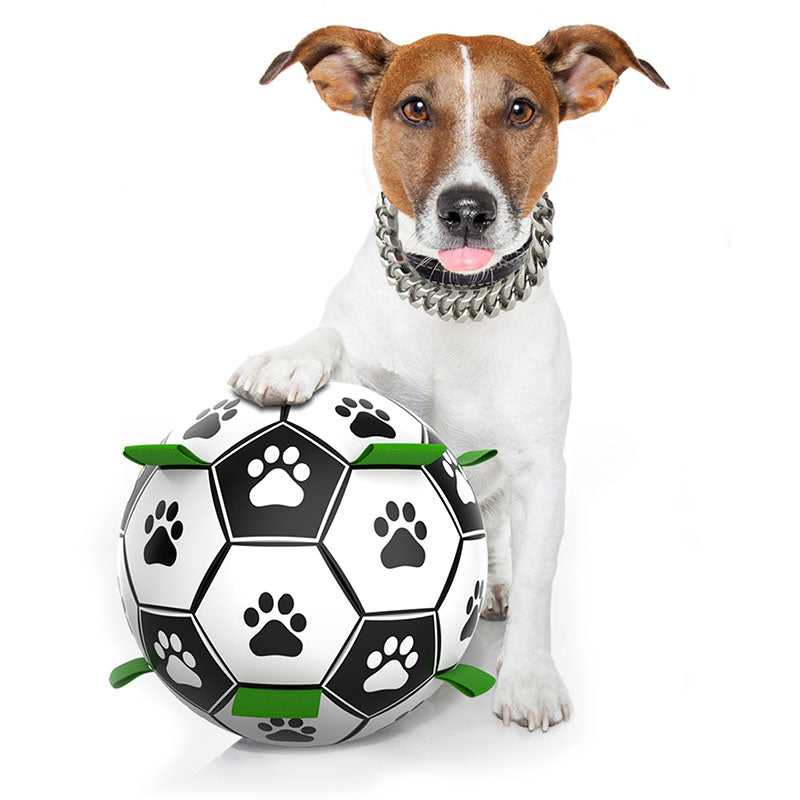 Interactive Pet Football Toy - Paw Toebeans