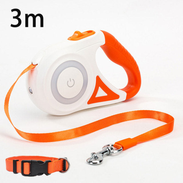 LED Retractable Dog Leash - Paw Toebeans