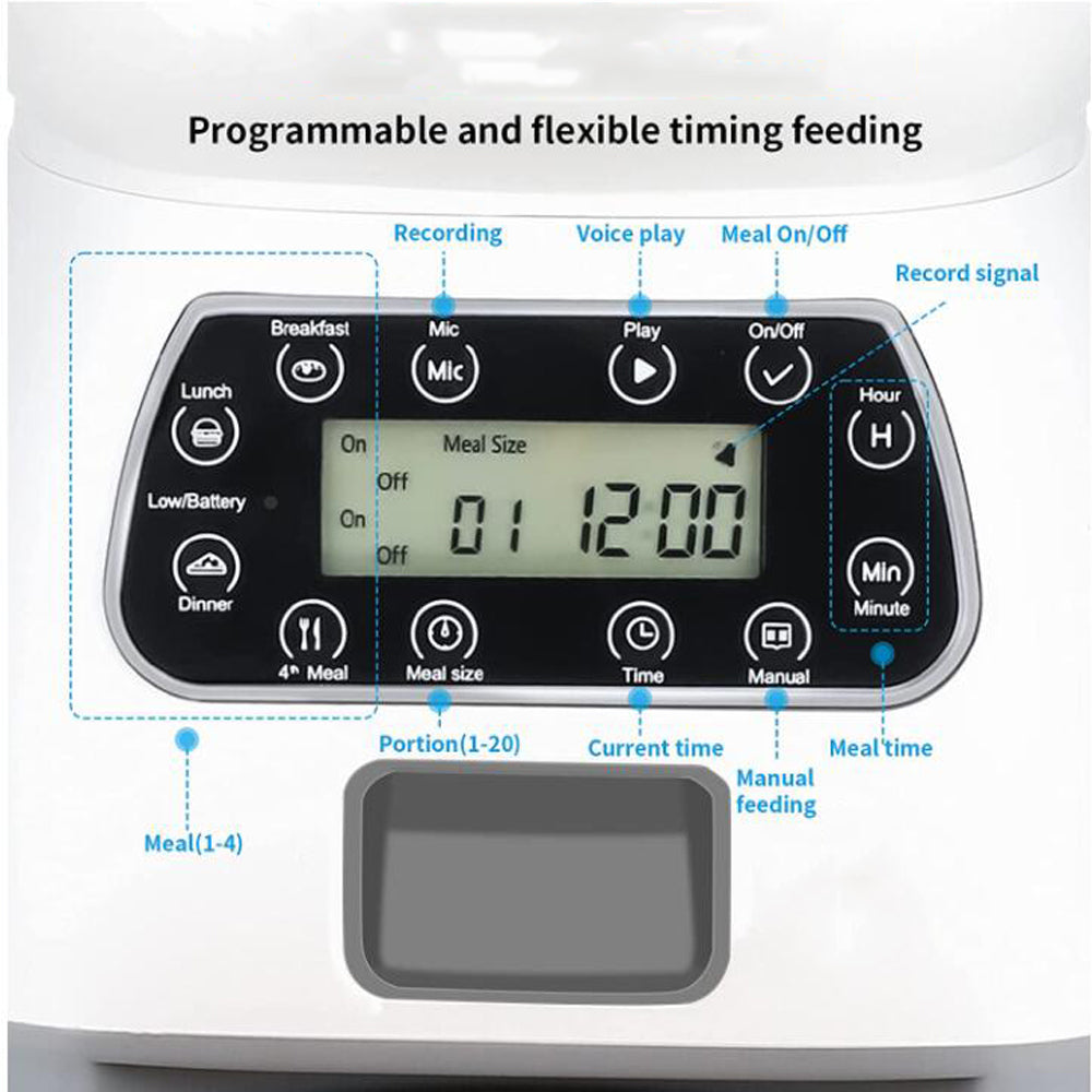Smart Automatic Pet Feeder - Paw Toebeans