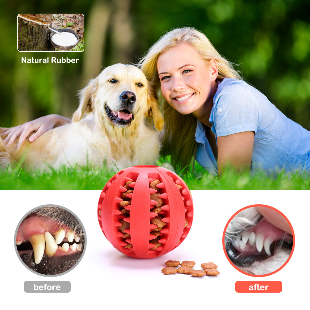 Rubber Pet Ball Toy - Paw Toebeans