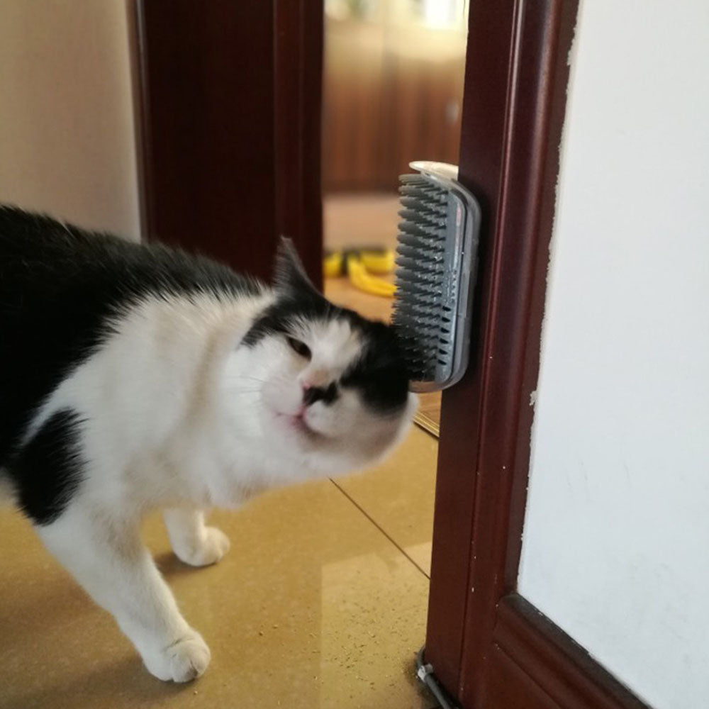 Pet Face Scratcher - Paw Toebeans