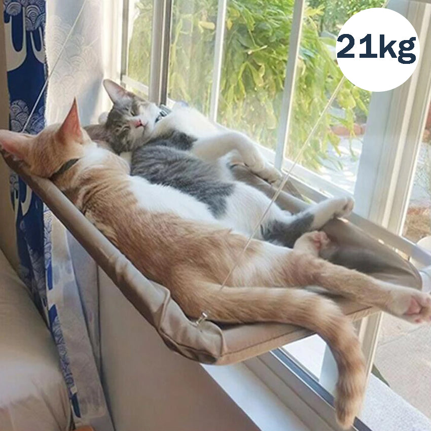 Pet Hanging Beds - Paw Toebeans