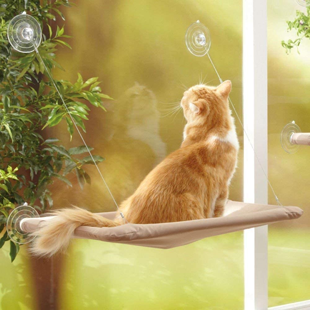 Pet Hanging Beds - Paw Toebeans
